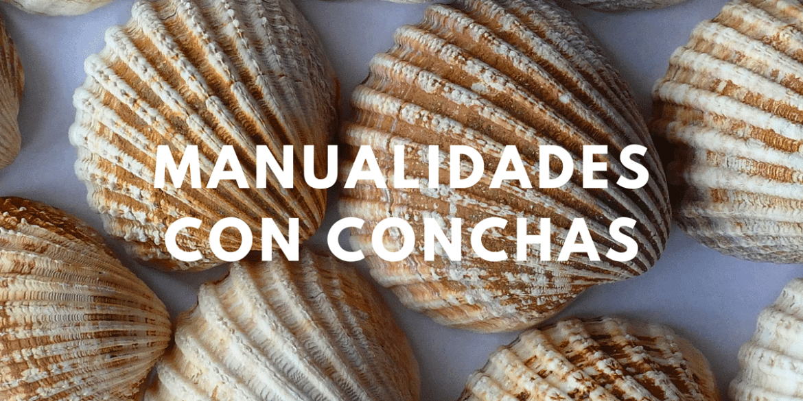 manualidades con conchas para niños
