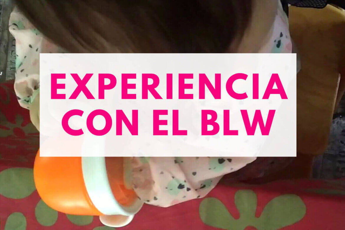 experiencia con el blw