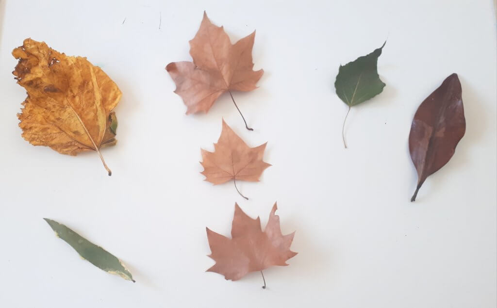 manualidades de otoño con hojas