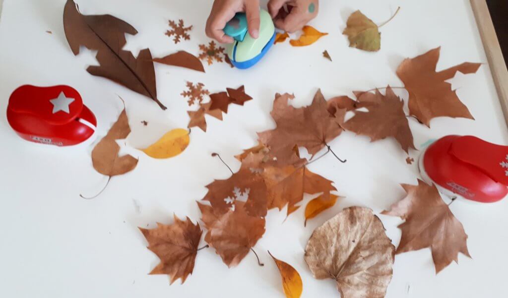 actividades para niños en otoño
