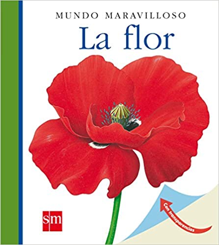 libro infantil sobre las flores