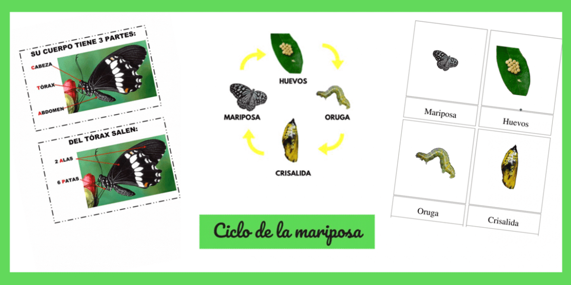 actividades mariposas niños