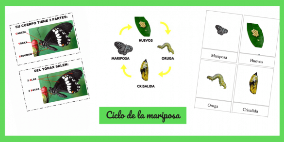 actividades mariposas niños
