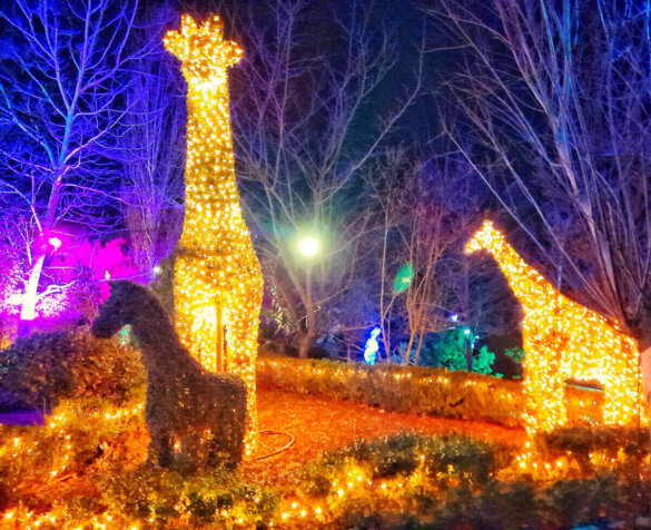 planes con niños en madrid
